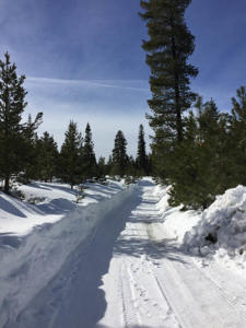 snowy-road-tll